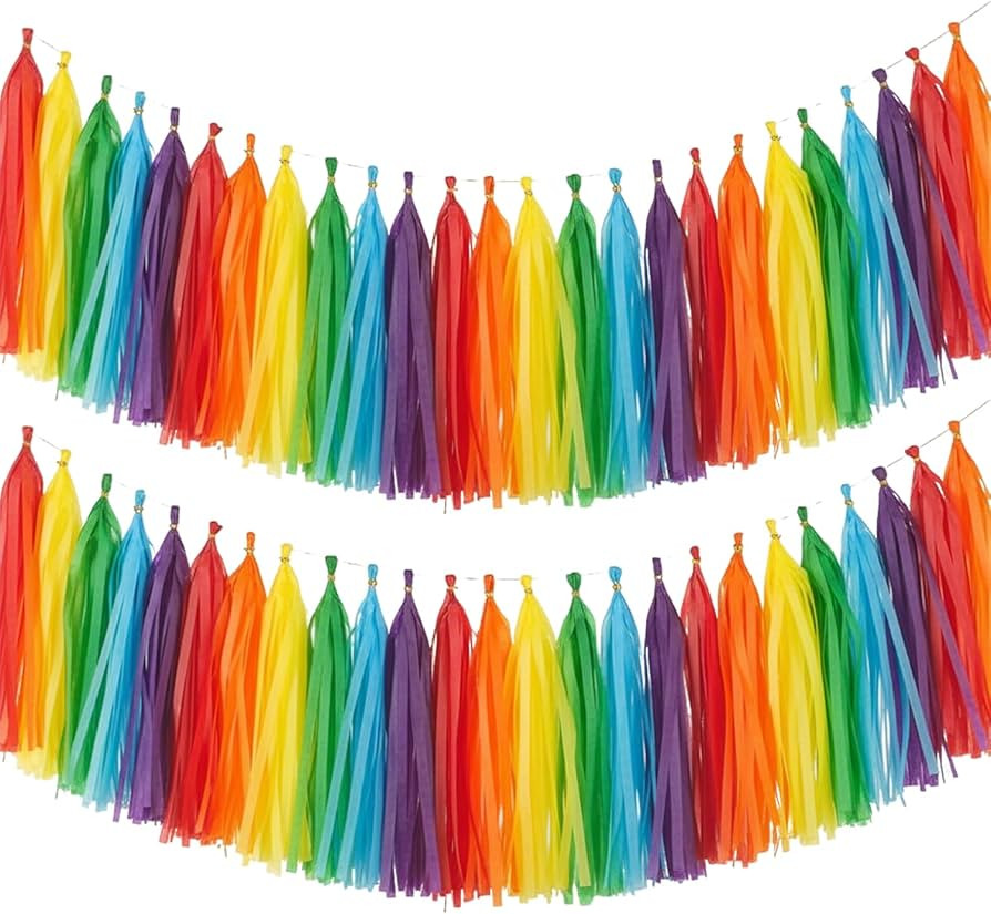 Rainbow Tassel Garland Banner,30 Pack Colorful Paper Tassels Streamers for Mexican Engagement Fie... | Amazon (US)