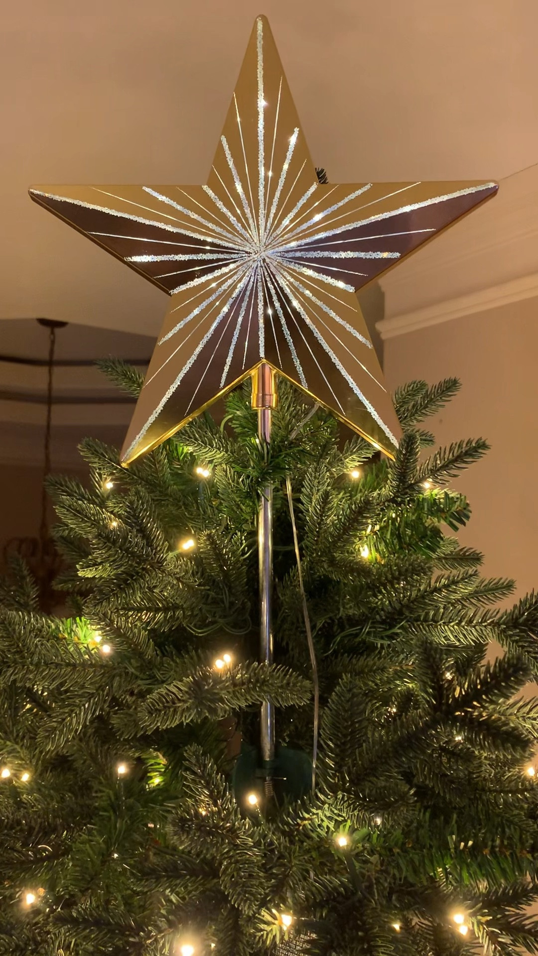 Gorgeous Tree Topper! 

#LTKHome #LTKHoliday #LTKSeasonal