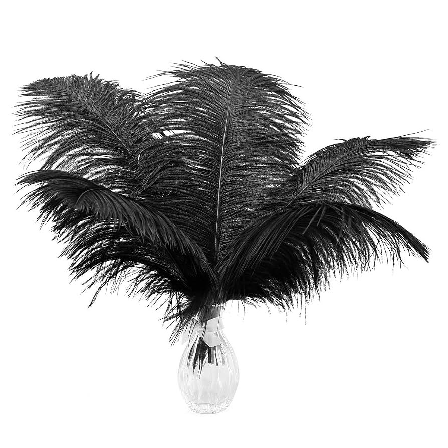 12pcs Natural Black Ostrich Feathers 12-14inch (30-35cm) for Wedding Party Centerpieces，Flower ... | Amazon (US)