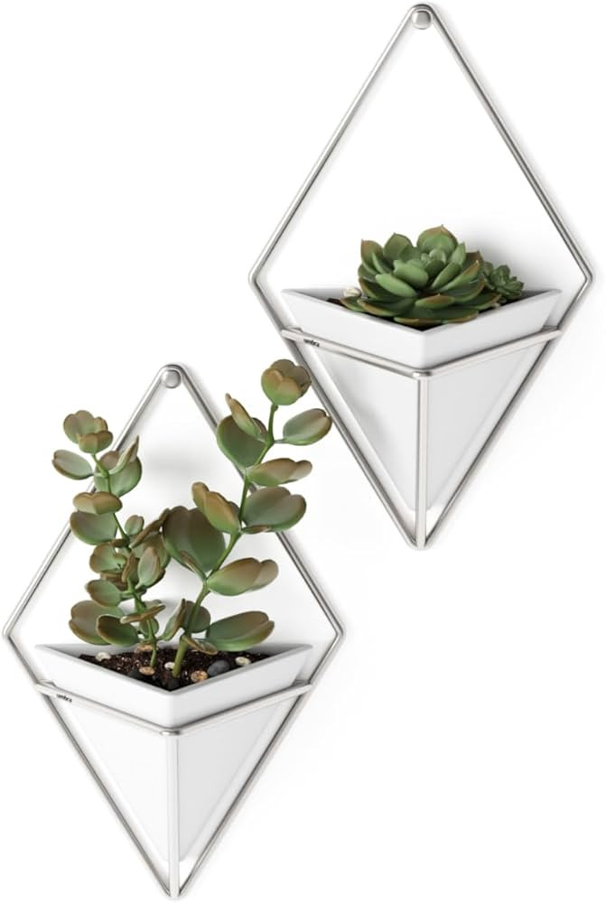 Umbra Trigg Hanging Planter Vase Wall Decor, Set of 2 Pots Containers for Succulents, Cactus, Fau... | Amazon (US)
