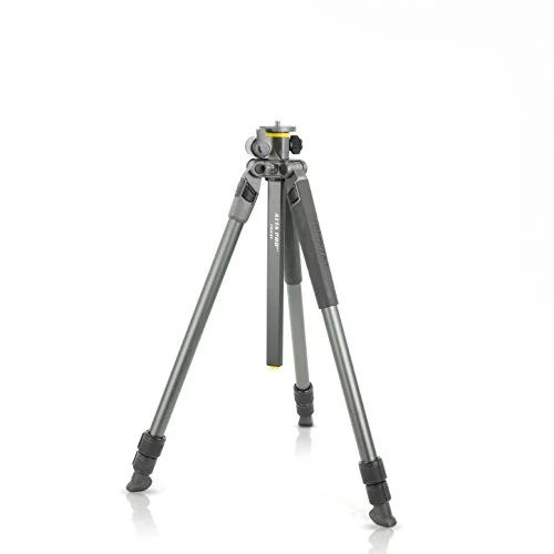 Vanguard Alta Pro 2+ 263AT Aluminum Tripod with Multi-Angle Center Column - Walmart.com | Walmart (US)