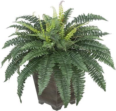 Nearly Natural 40in. Boston Fern (Set of 2) Artificial Plant, Green, 2 Piece | Amazon (US)