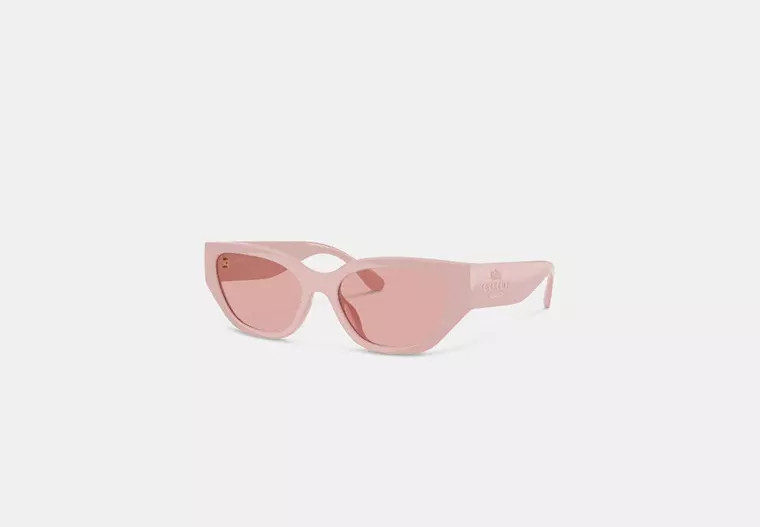 Geometric Cat Eye Sunglasses | Coach (US)
