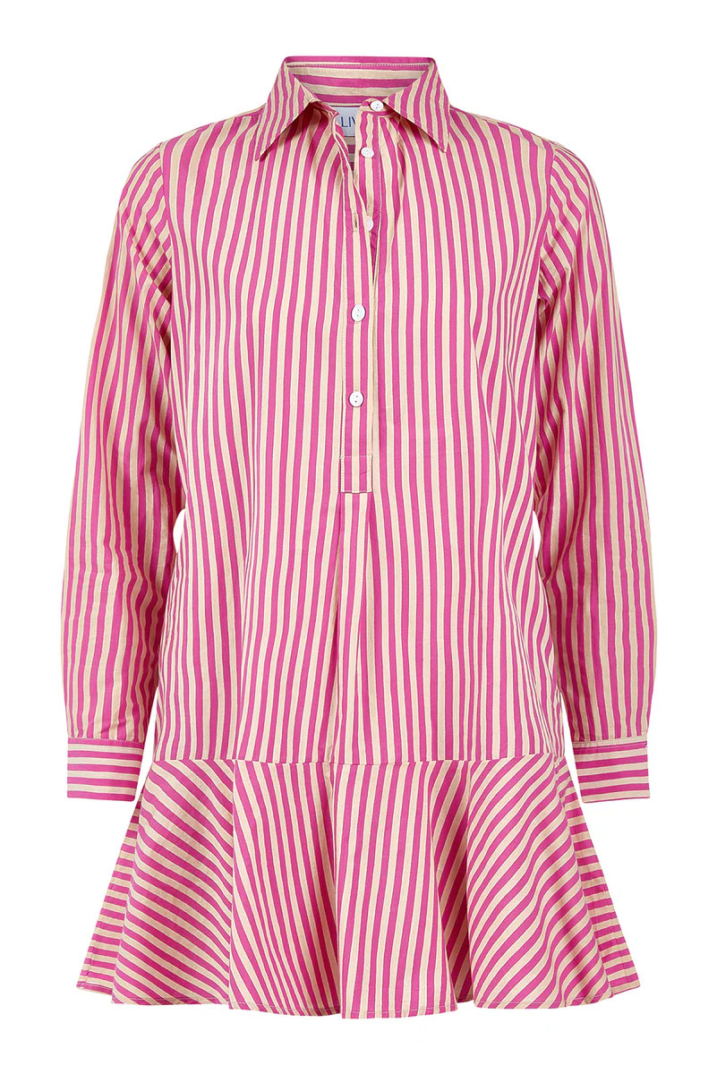 Polly Dress, Raspberry Pinstripe | Livro
