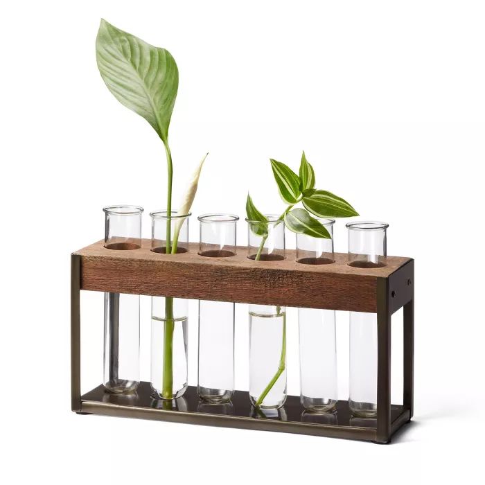 6.75" x 2.5" Wood/Metal Plant Stem Stand - Hilton Carter for Target | Target