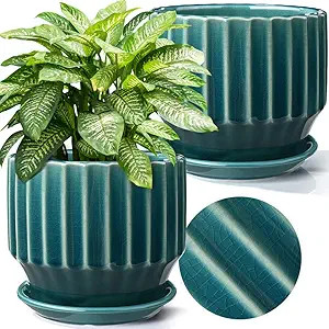 AISBUGUR Plant Pots 6 inch Ceramic Pots for Indoor Plants Set of 2 Flower Pots Unique Crackle G... | Amazon (US)