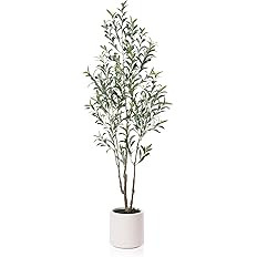 LOMANTO Artificial Olive Trees, 6 ft Tall Fake Olive Trees for Indoor, Faux Olive Silk Tree, Larg... | Amazon (US)