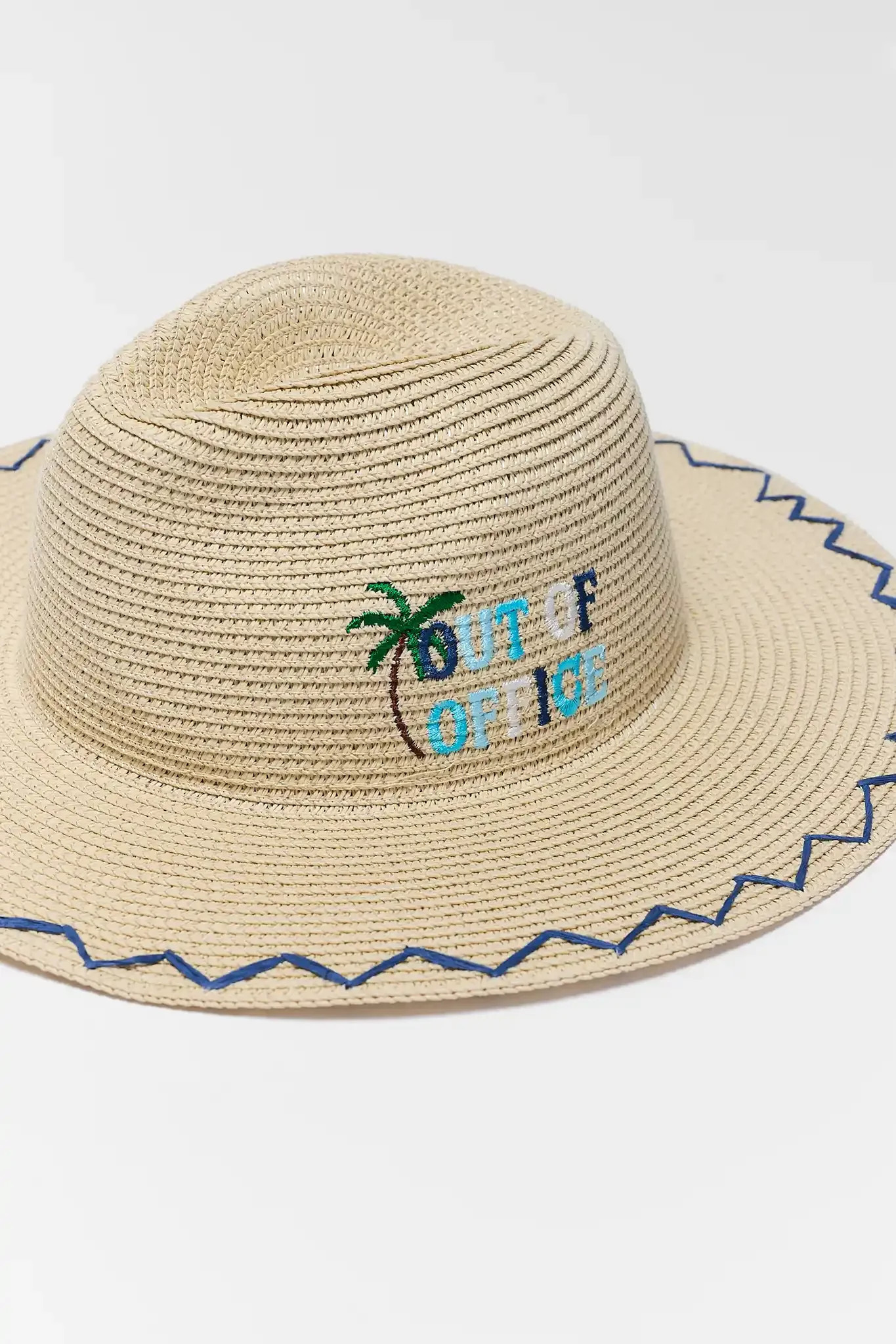 Raffia Embroidered Wide Brim Hat | Avara
