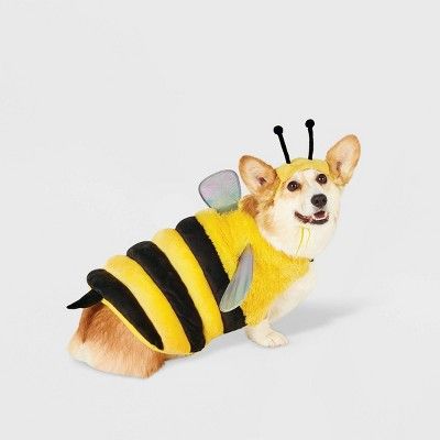 Bee Full Body Dog and Cat Costume - Hyde & EEK! Boutique™ | Target