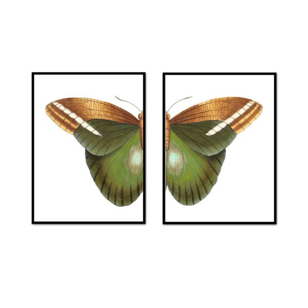 Natural Beauty Butterfly Split | Urban Garden Prints
