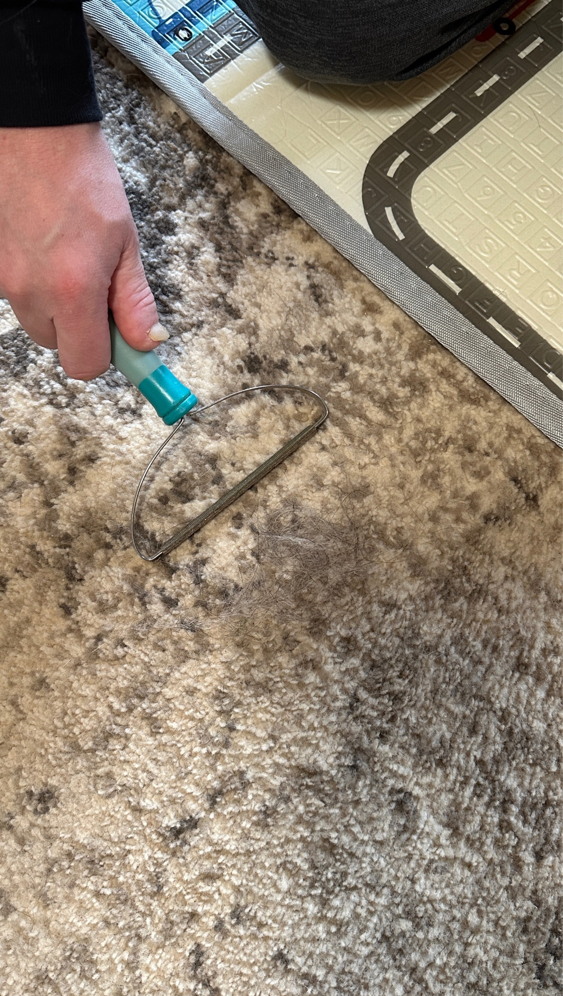 One of our most trusted dog hair removers! We have 4 dogs and this thing is always in use. Look at how much hair came up in our rug 🤢

#pets #dogs #dog #pethairremover

#LTKHome