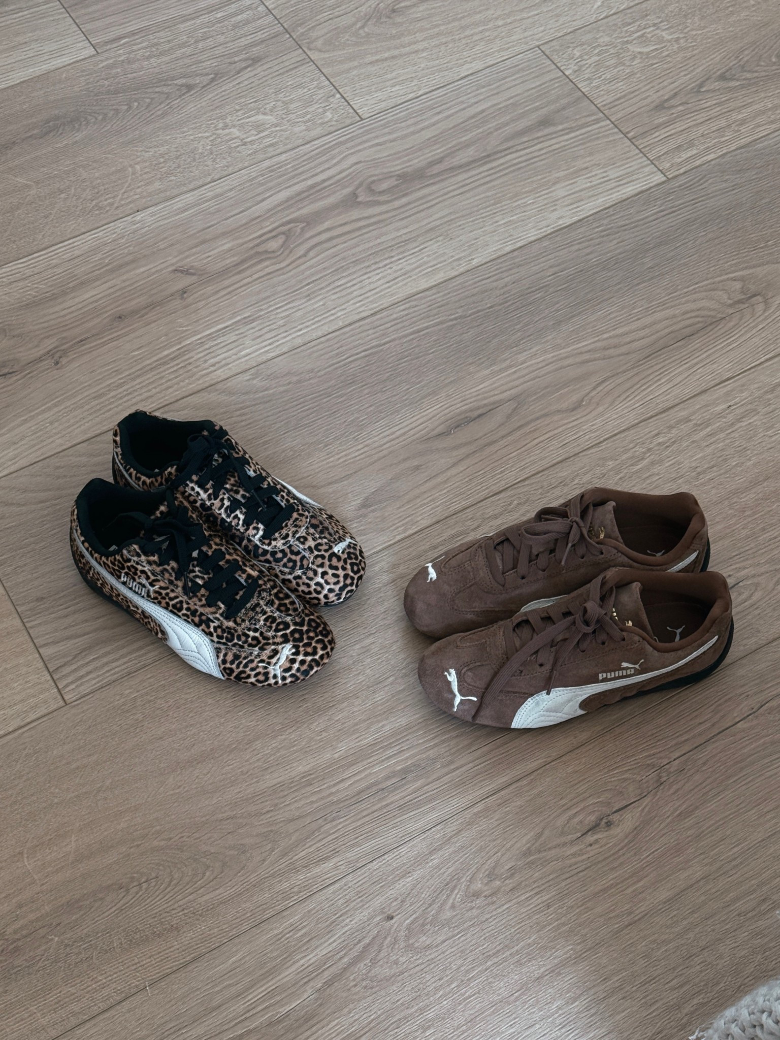 Speed cats are my latest obsession 😍

#LTKSeasonal #LTKHoliday #LTKStyleTip