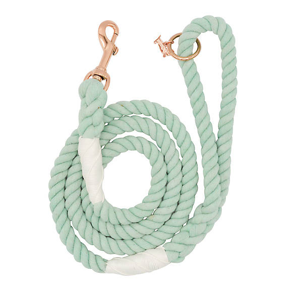 Sassy Woof Mint to Be Dog Rope Leash: 5-ft long | PetSmart