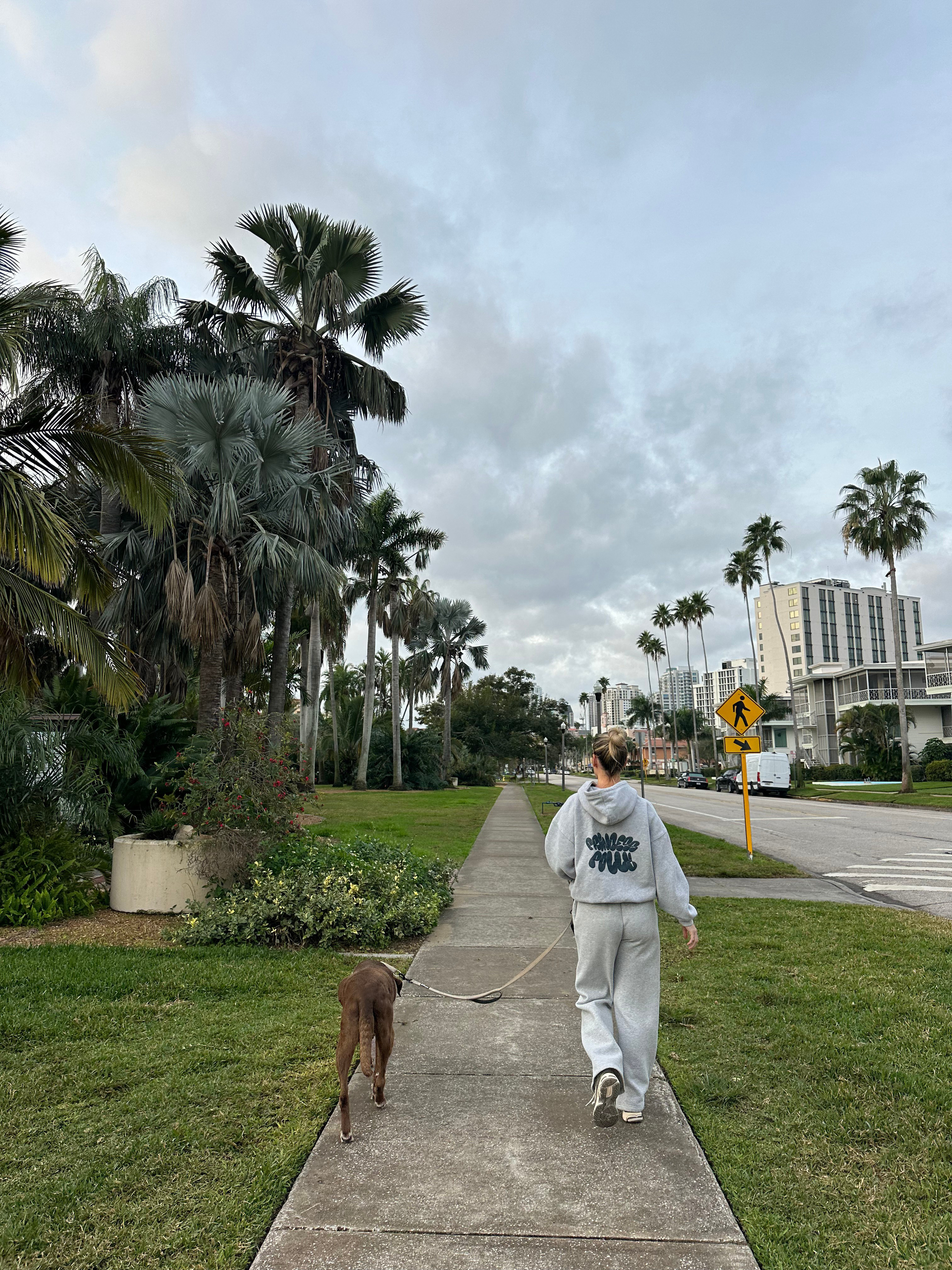 hoodie + sweatpants set -- my exact colorway is sold out but linked two similar ones here! size small 

 #LTKootd #LTKfitnessgoals #LTKmorningroutine