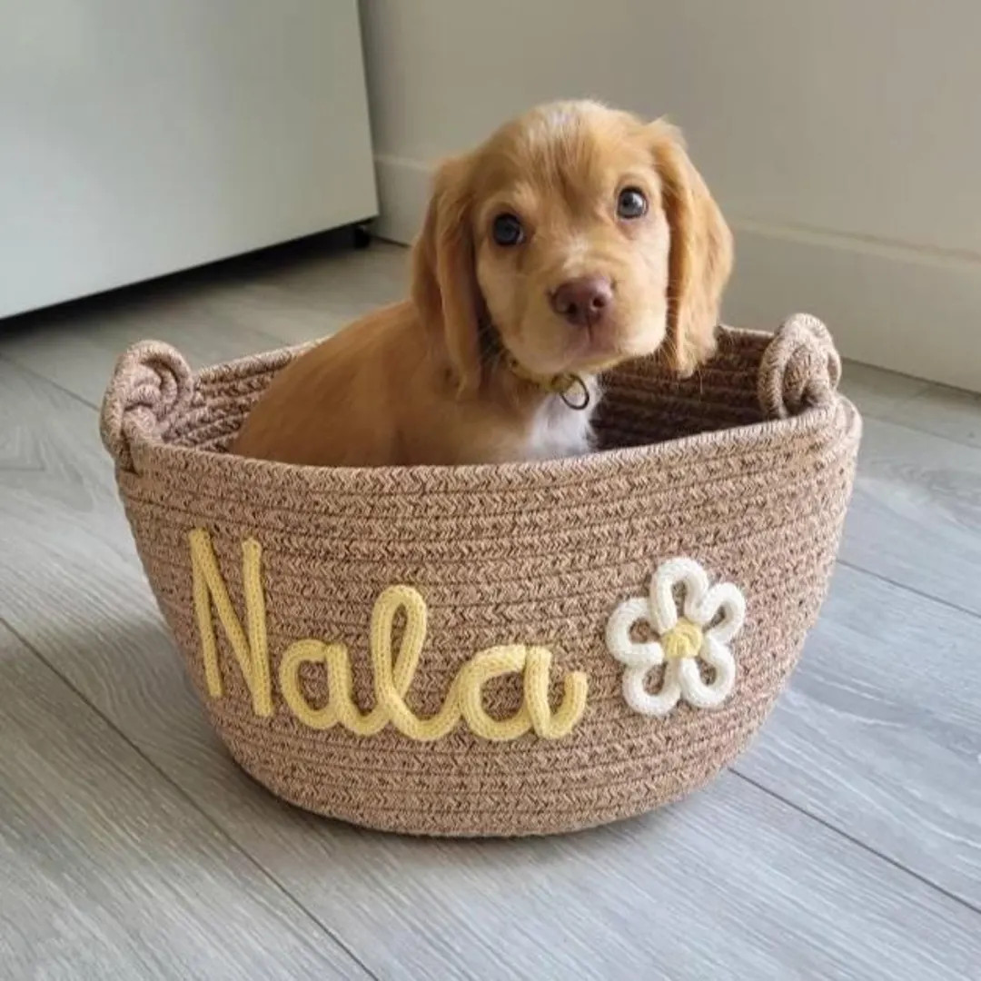 Personalized Pet Toy Basket \u2013 Custom Woven Storage Basket With Name, Dog or Cat Toy Organize... | Etsy (Global)