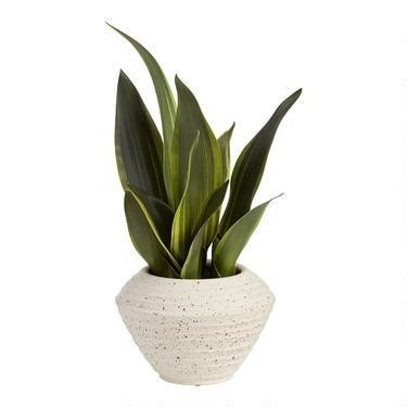 Faux Snake Plant in Speckled Pot | World Market