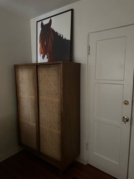 The perfect storage solution 🐴 this bookcase also makes a great bedroom piece. 

#LTKhome #LTKstyletip