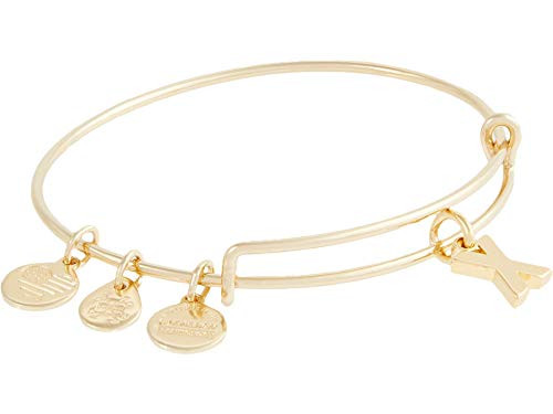 Alex and Ani Initial X Expandable Bangle Bracelet,Shiny Gold | Amazon (US)