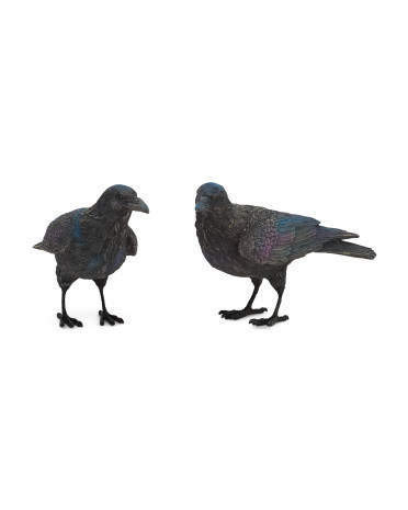 2pk 6in Crows | Marshalls