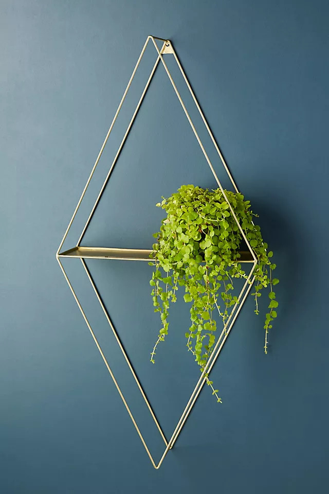 Quincy Shelf | Anthropologie (US)