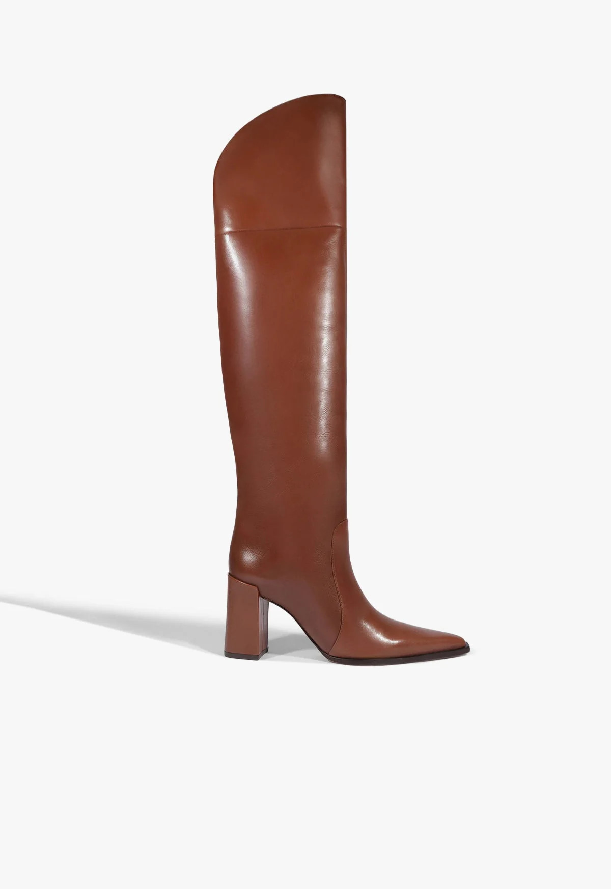 Raffaela OTK Leather Boot | Schutz (US)