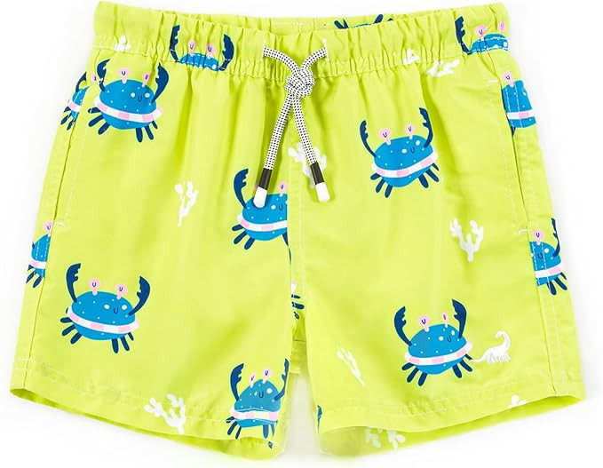 SURF CUZ Surfcuz Little Boys Swim Trunks UPF 50+ Toddler Beach Shorts Swimsuit Kids Quick Dry Swi... | Amazon (US)