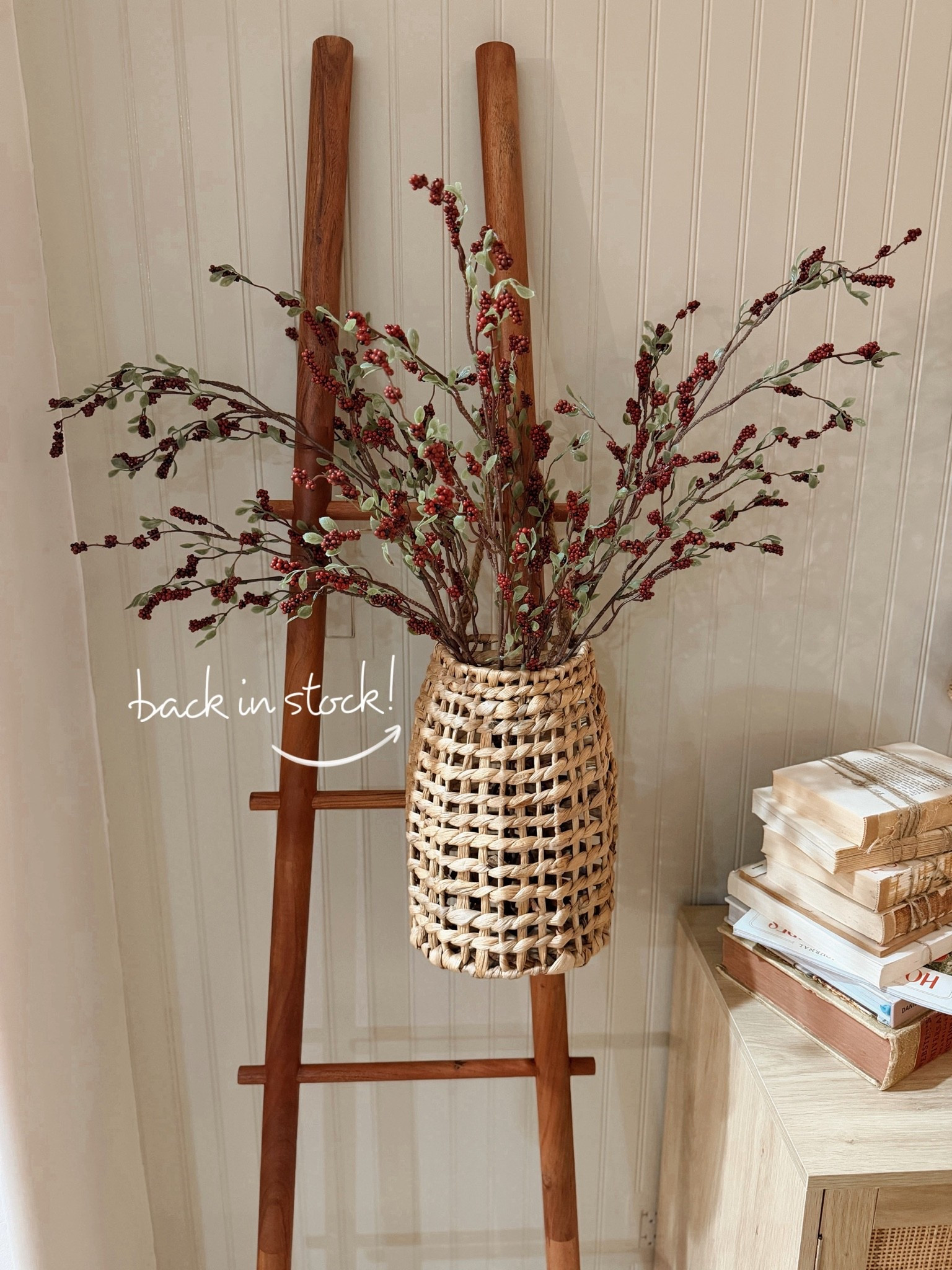 My favorite berry stems from last season - in stock again this year! 😍🎄 they’re absolutely gorgeous! 

Christmas / seasonal / cozy / @Target / home decor / Holley Gabrielle