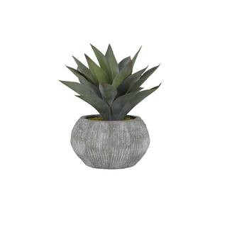 D&W Silks Artificial Indoor Aloe Plant in Round Ceramic Planter 175127 - The Home Depot | The Home Depot