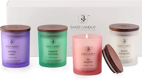 Scented Candles, SASA Candle Jar Gifts for Women, Aromatherapy Candle 4pcs, Soy Candles Set Gift ... | Amazon (US)
