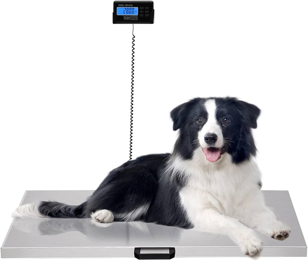 Veterinary Scale, 440LB Heavy Duty Digital Livestock Platform Scale 41x20.8 Inch with Power Adapt... | Amazon (US)