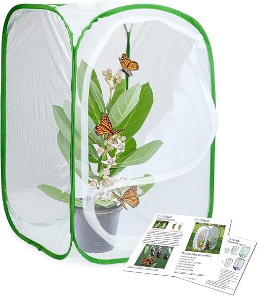 RESTCLOUD Insect and Butterfly Habitat Cage Terrarium Pop-up 23.6 Inches Tall | Amazon (US)