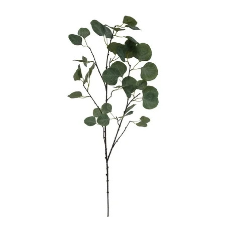 Green Eucalyptus Stem | Walmart (US)