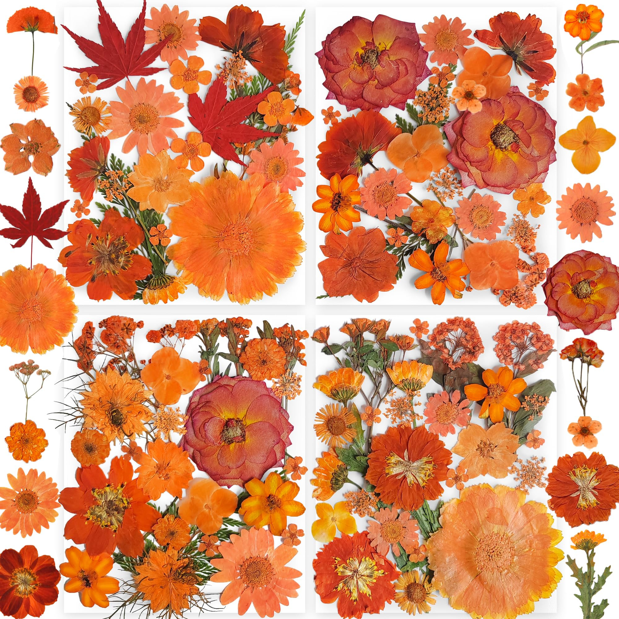 150PCS Orange Fall Dried Pressed Flowers with Butterfly Stickers - Youthbro Real Nature Flowers S... | Amazon (US)