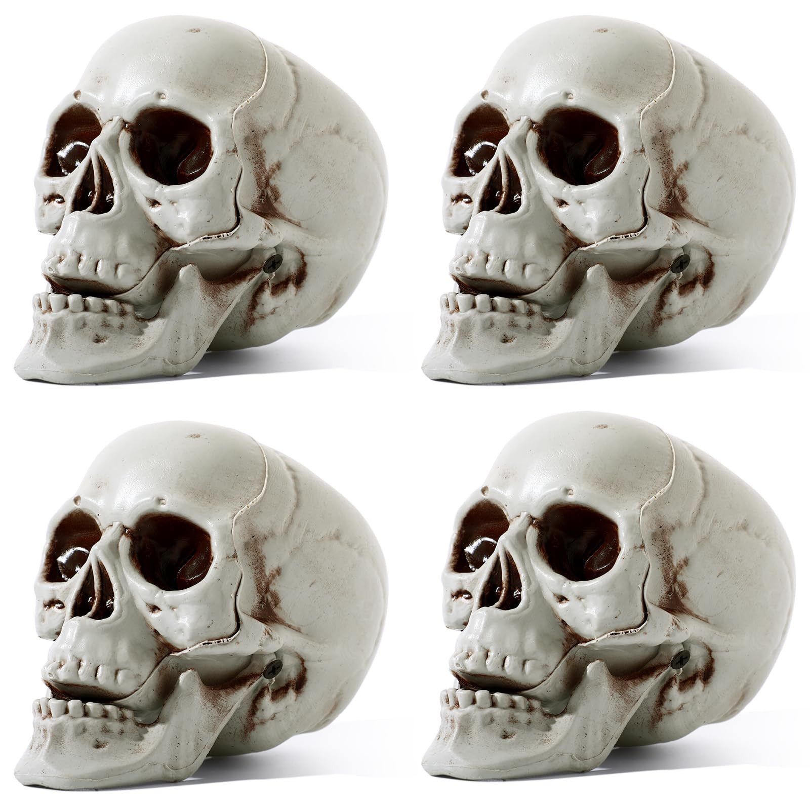 Sratte 4 Pcs Halloween Human Skull Model Adult Plastic Skull Decor Fake Head Decorations Realisti... | Amazon (US)