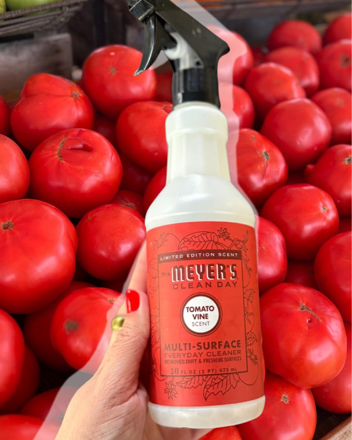 This cleaning spray in Tomato Vine has the most fresh, herbaceous scent. Also grab it in the hand soap (included in the Amazon link). It will make your entire house smell SO clean and refreshing.

#LTKHome #LTKSeasonal #LTKmomlife