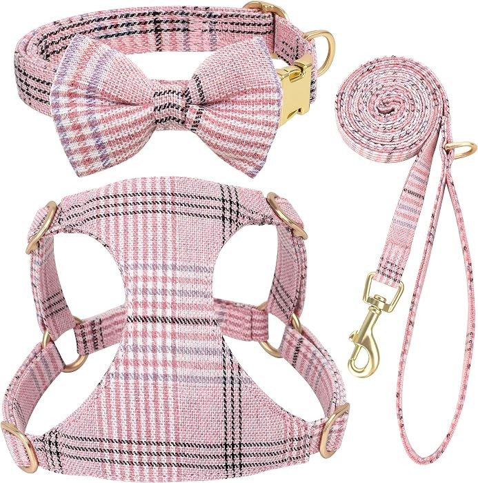 Beirui Cute Extra Small Dog Harness and Leash Set, Pink,XXS,Chest 12-14"     For Small Dogs Puppy... | Amazon (US)