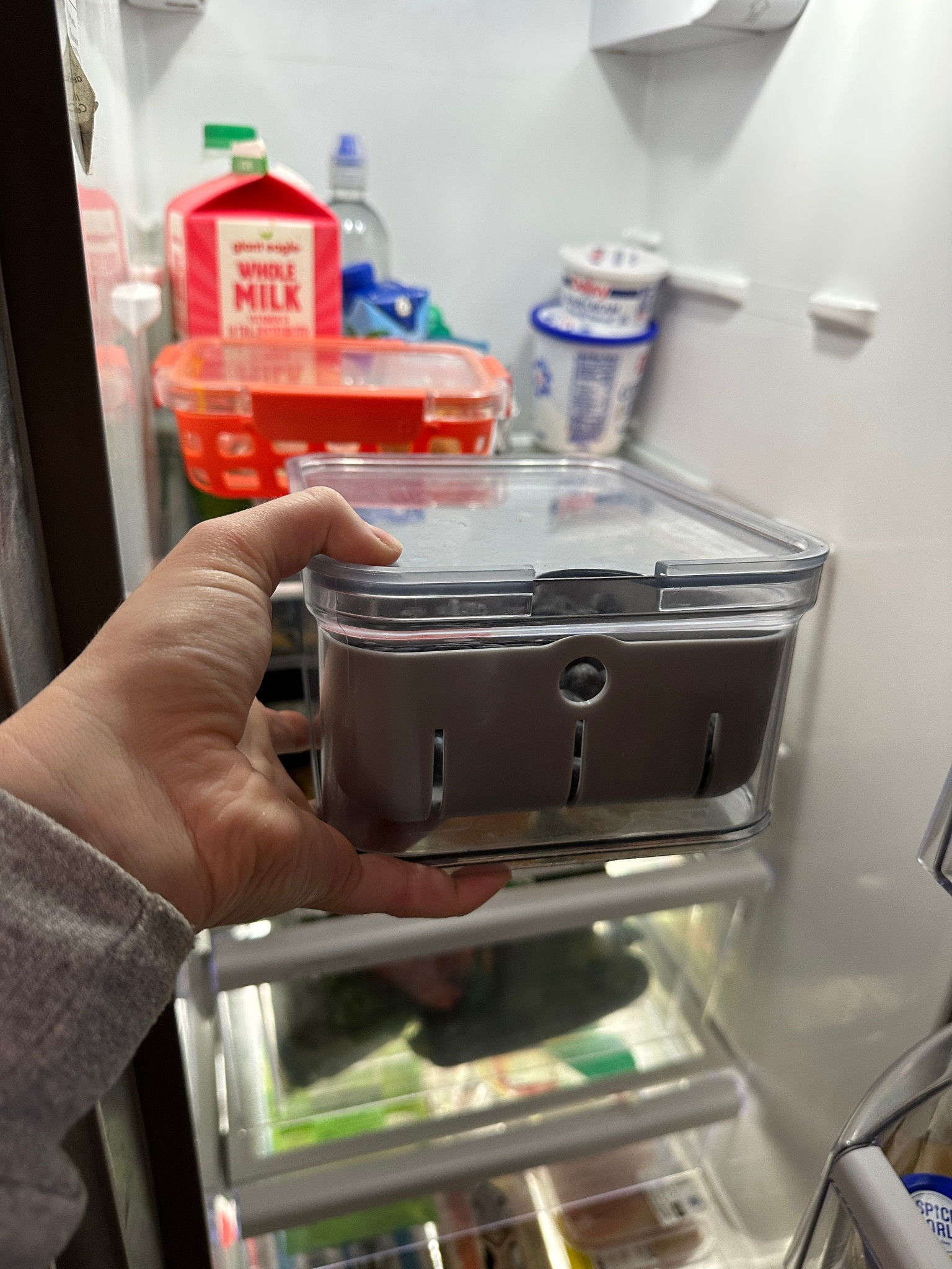 The ONLY thing that works to keep berries fresh in our house. Love this purchase so much. 

#LTKfamily #LTKGiftGuide #LTKhome