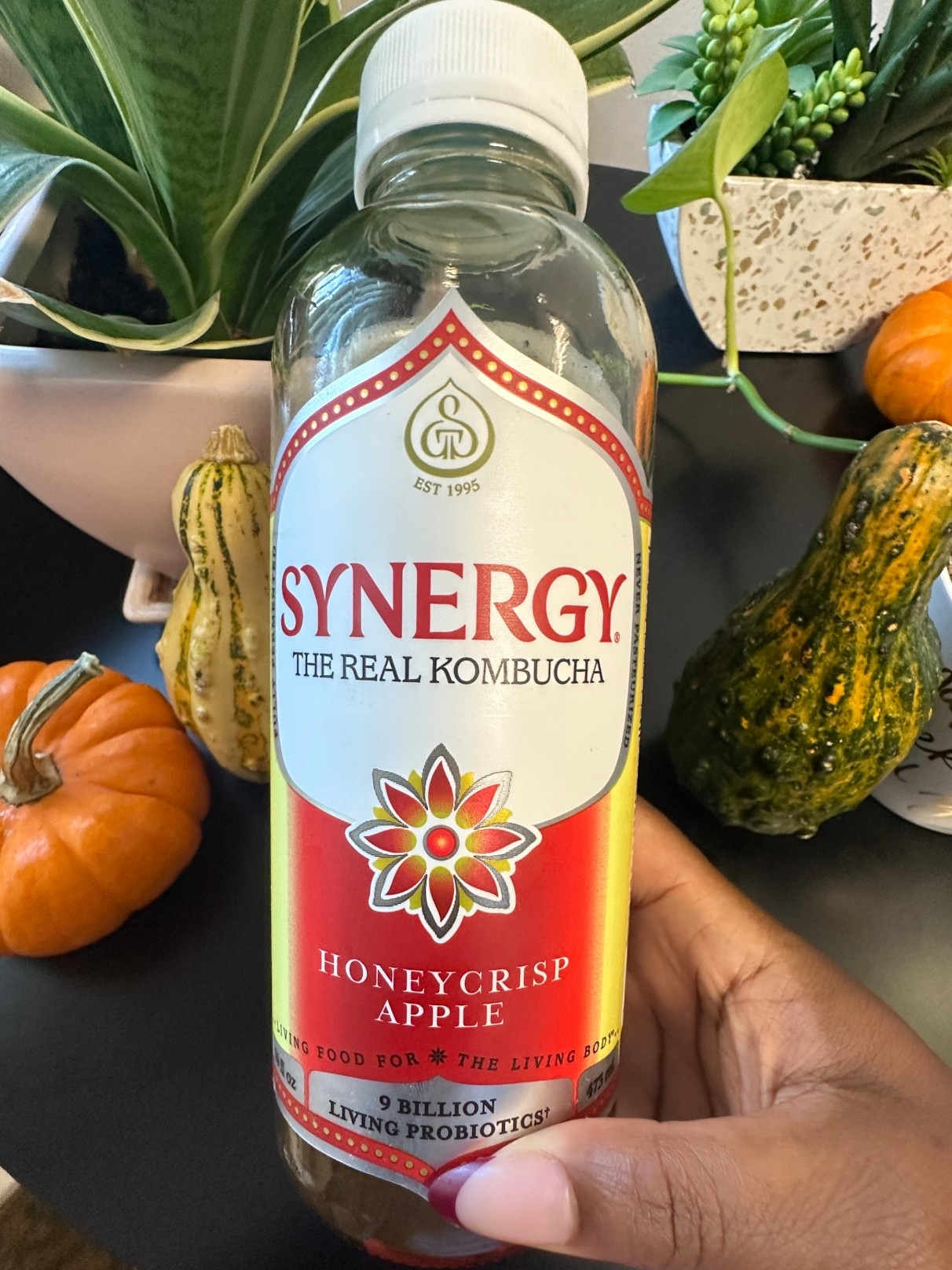 Tastes like fall 😋 If you like apple cider, you’ll love this honey crisp apple GT’s Synergy kombucha — matches my fall nails, too! 🍎🍂

#LTKBeauty #LTKSeasonal