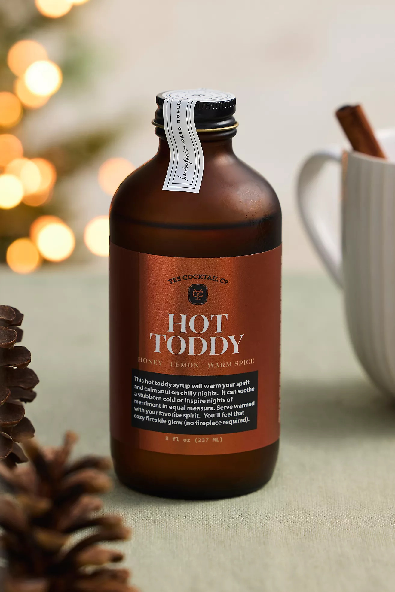 Hot Toddy Cocktail Syrup | Anthropologie (US)