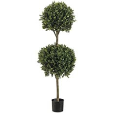 4' Double Ball-shaped Boxwood Topiary in Plastic Pot Two Tone Green | Amazon (US)