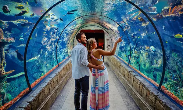 Shark Reef at Mandalay Bay - Shark Reef Aquarium at Mandalay Bay | Groupon | Groupon North America