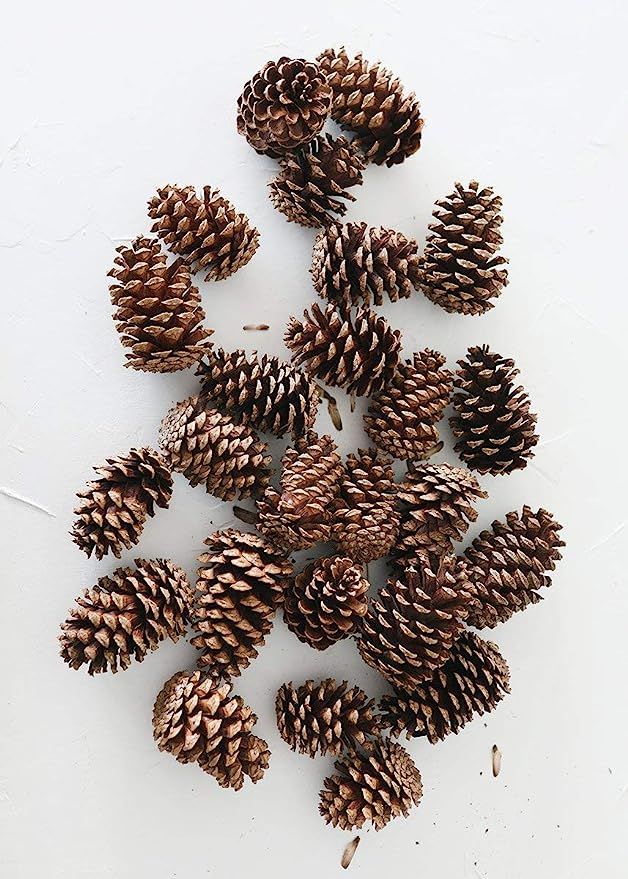 Afloral Bag of 25 Natural Medium Pine Cones - 3-5" Long | Amazon (US)