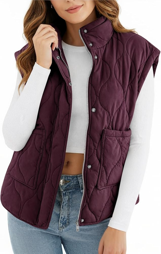 Cicy Bell Womens Quilted Puffer Vest Stand Collar Zip Up Winter Lightweight Padded Gilet Outerwea... | Amazon (US)
