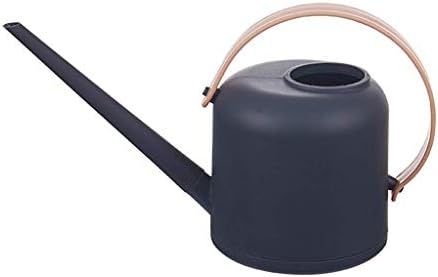 Watering Can for Indoor Plants, Small Watering Cans for House Plant,1.7L 50oz 1/2 Gallon | Amazon (US)