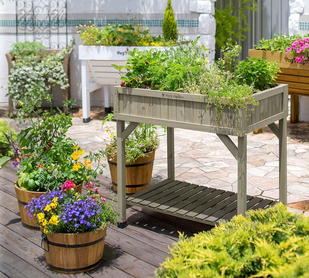 Cedar 8-Pocket Herb Garden Bed | Pottery Barn (US)