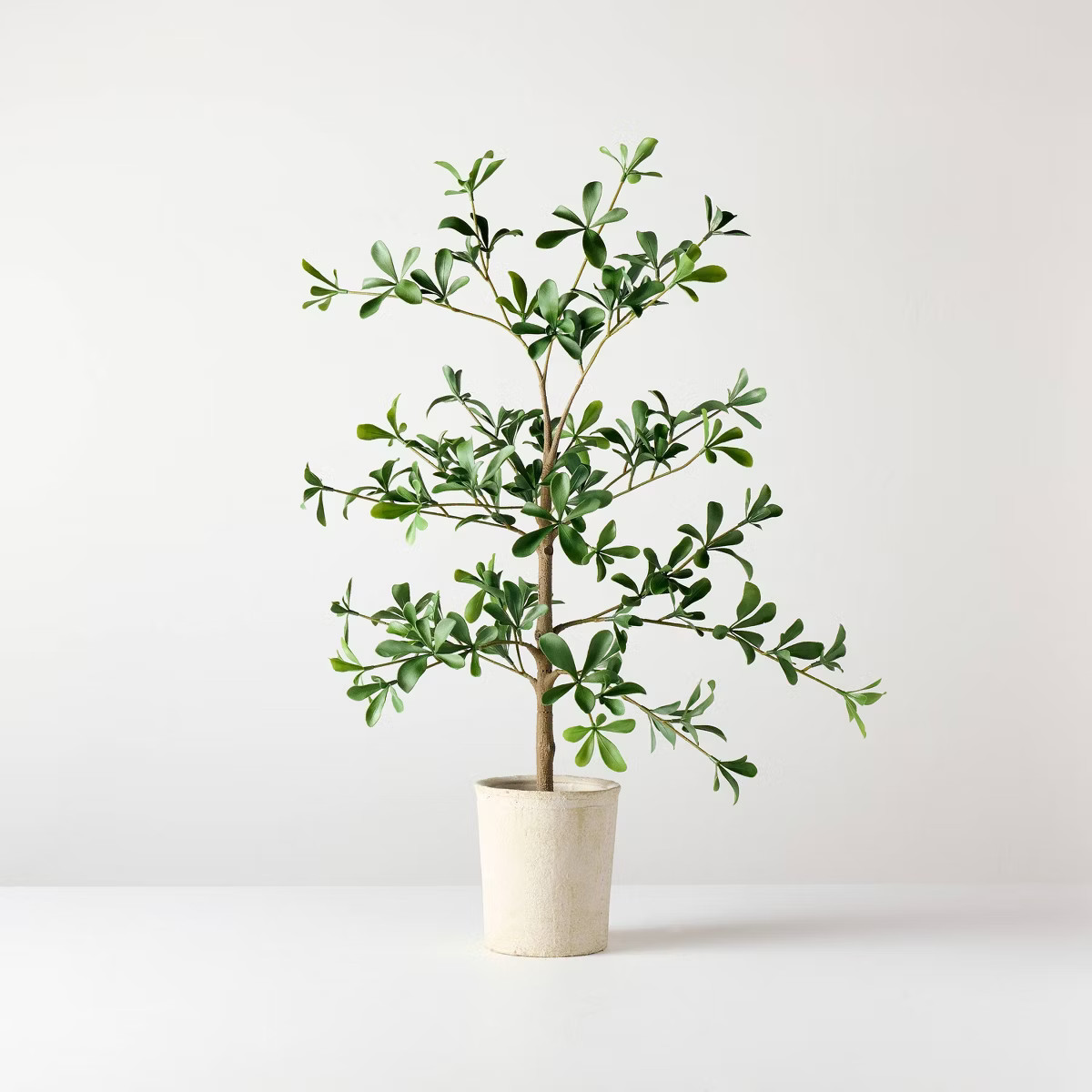 28" Mini Black Olive Artificial Tree - Hearth & Hand™ with Magnolia | Target