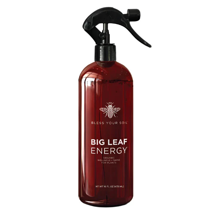 Wholesale Partner: Bless Your Soil - Neem-Based Plant Wellness Spray | Sol Soils