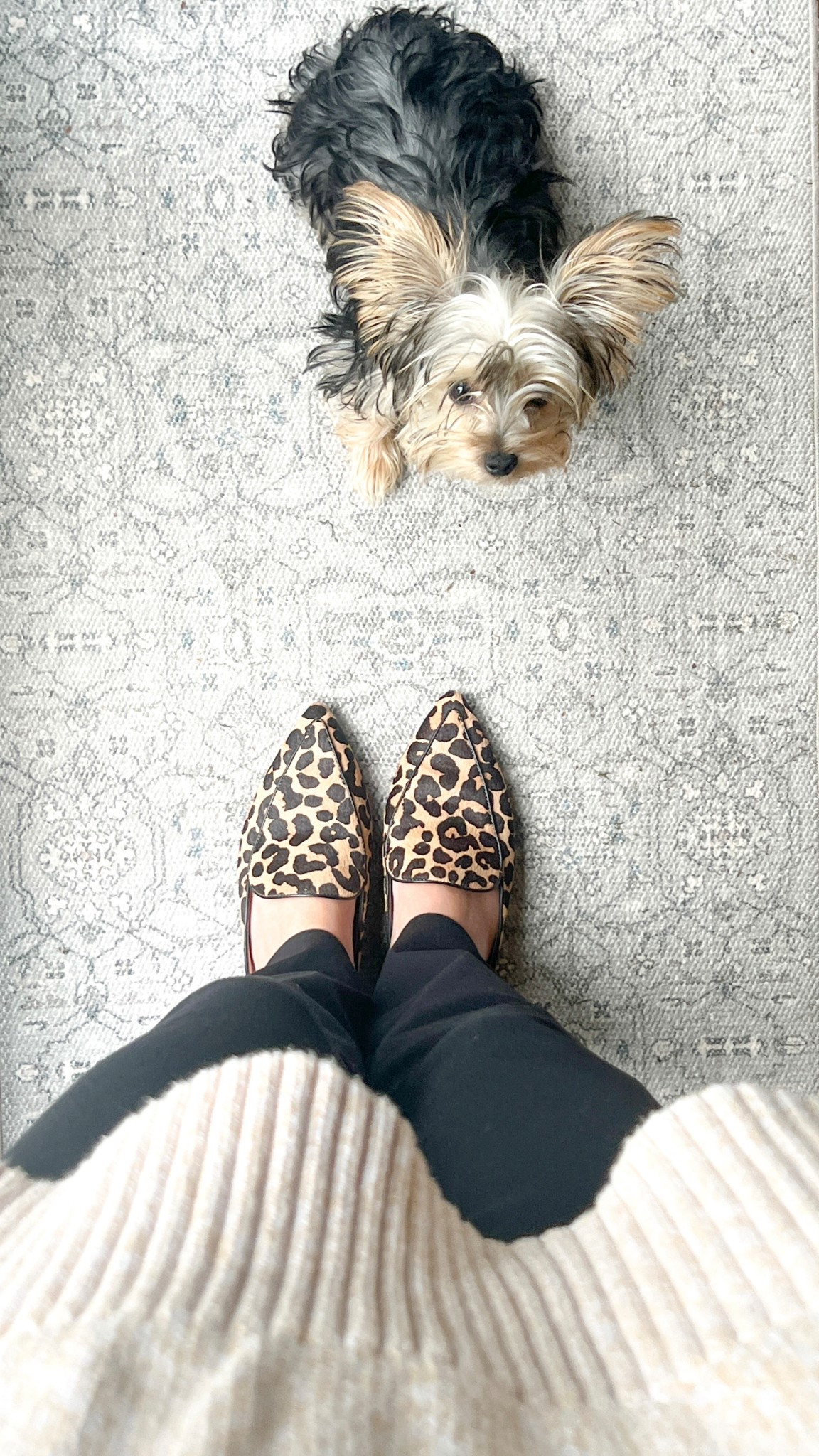 Fall clothes - beige knit v-neck sweater with leopard print mules for the autumnn

#LTKWorkwear #LTKSeasonal