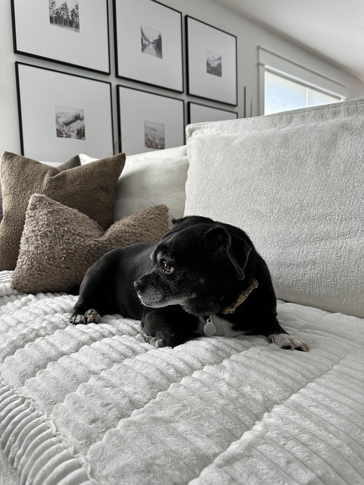 Couch cover protector. Pet owners must have. Mom hack. Clean couch. | Amazon (US)