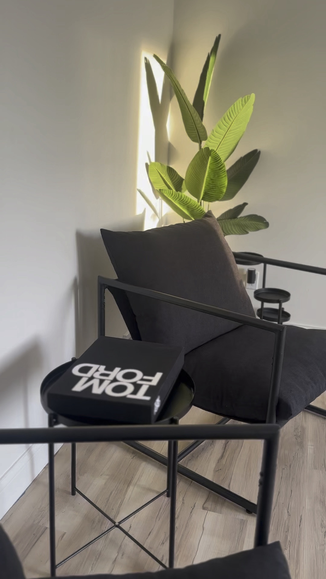 The sunlight in my front room > 

This faux plant has become one of my favorite pieces of home decor. 


#LTKstyletip #LTKhome #LTKfindsunder100